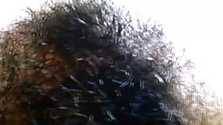 Mông to Lớn màu đỏ phim sex tap the khong che
